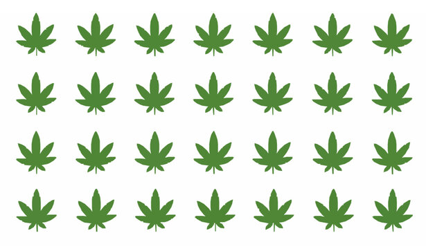 Cannabis leaf seamless pattern vector with green marijuana leaves in clean grid layout isolated on white background