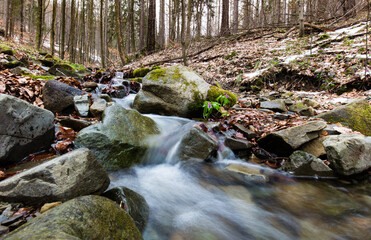 Górski strumień w wiosennym lesie pośród kamiennych głazów © kubikactive