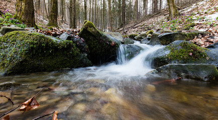 Górski strumień w wiosennym lesie pośród kamiennych głazów © kubikactive