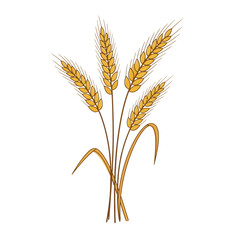 Fototapeta premium Golden wheat ears vector illustration, embodying agricultural bounty, natural harvest, and essential food production concepts