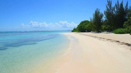Fototapeta premium White sand beach meets turquoise water on a tropical island shoreline