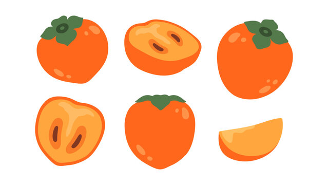 Persimmon fruit set. Whole and sliced kaki fruit. Flat vector illustration