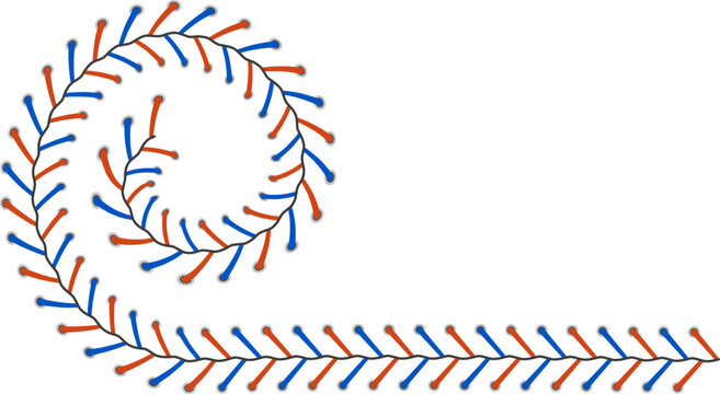 Baseball stitching graphic element with spiral and straight pattern