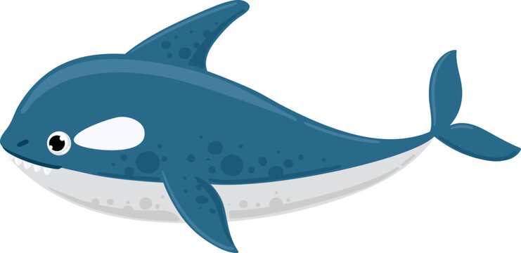 Cute killer whale cartoon character swimming