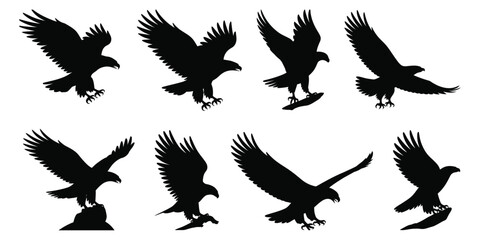 Fototapeta premium Eagle silhouettes showing flight and perching positions, wildlife vector, nature illustration, outdoor and design concept.