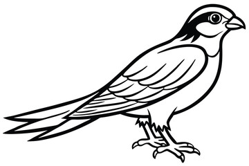 Obraz premium merlin bird silhouette line art vector illustration with a white background