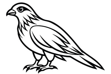 Fototapeta premium merlin bird silhouette line art vector illustration with a white background