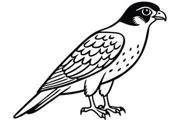 Fototapeta premium merlin bird silhouette line art vector illustration with a white background