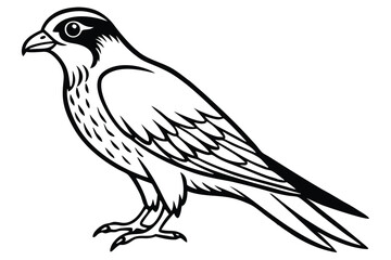 Obraz premium merlin bird silhouette line art vector illustration with a white background
