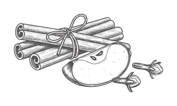 Hand drawn cinnamon sticks apple slice and cloves