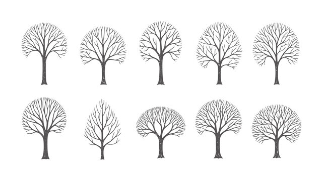 Ten bare winter trees with intricate branch patterns white branches