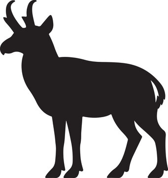 A black silhouette of a pronghorn antelope standing on its four legs against a white background