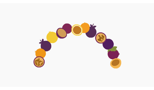 Modern passion fruit logo tropical vector illustration