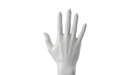 Obraz premium A white plastic hand model is shown up close on a plain background
