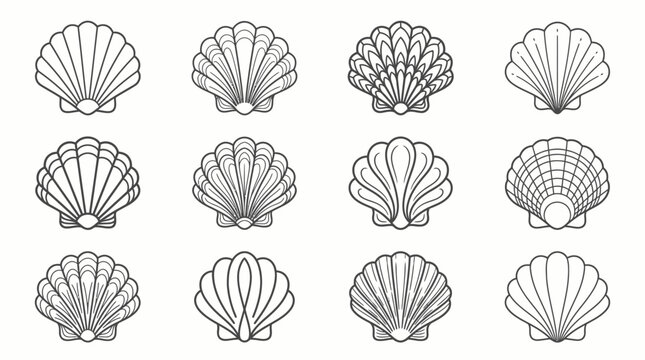 A collection of twelve distinct black and white line art illustrations of scallop shells with various intricate patterns and designs, showcasing marine diversity.