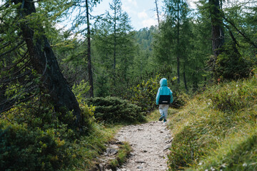 Obraz premium Narrow rocky trail in green mountain pine forest with distant child. Happy family hiking holiday and active outdoor travel concept.