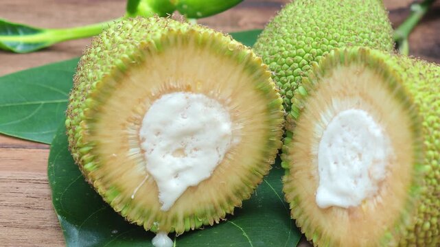 raw jackfruit,Unripe jackfruit for cooking.