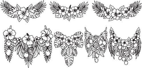 Detailed illustration of various butterfly species with wings spread Vector © Runa
