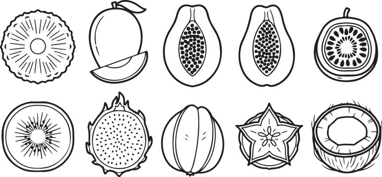 A collection of geometric patterns and abstract floral designs Vector