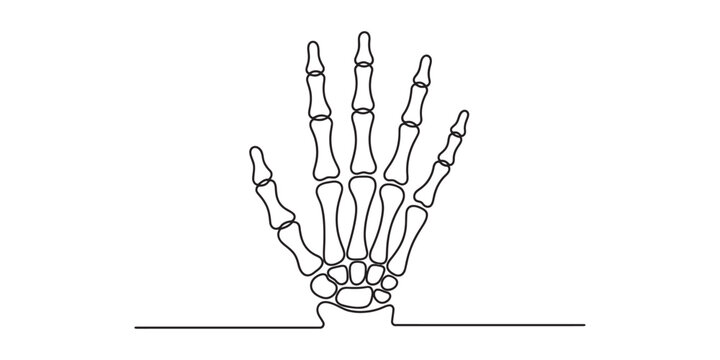 A minimalist continuous line drawing of a human hand skeleton on a plain white background. Vector, illustration