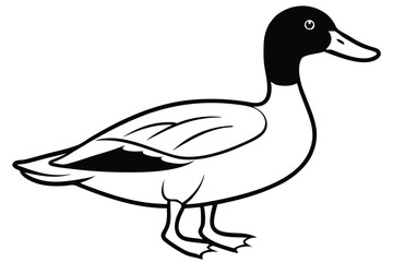 Fototapeta premium mallard bird silhouette line art vector illustration with a white background