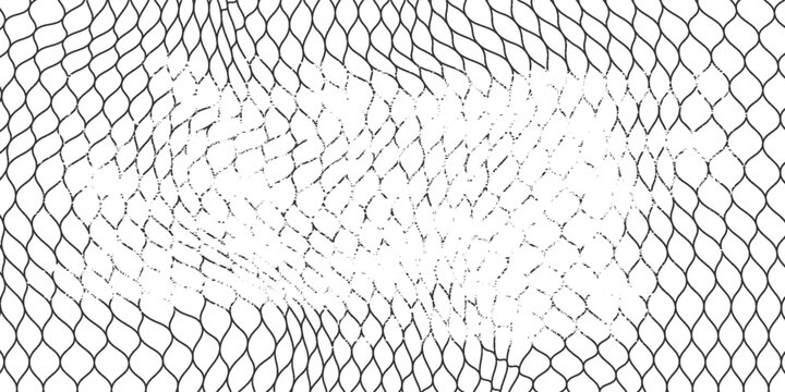 Black snake skin pattern isolated on white background eps 10