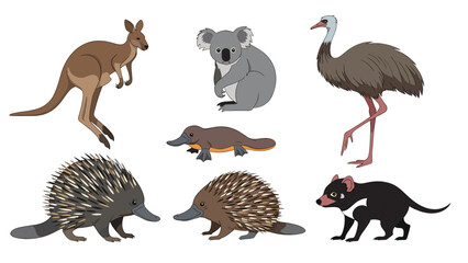 Fototapeta premium Illustrated collection features iconic Australian wildlife including a kangaroo, koala, emu, platypus, and echidna on a white background.