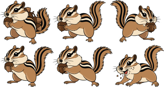 Chipmunk Vector Set Featuring Fun Animal Behavior, Nut Gathering, and Playful Actions in Nature