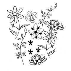 Fototapeta premium floral background with flowers