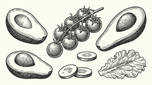 A detailed, hand-drawn illustration of fresh avocados, cherry tomatoes on the vine, sliced cucumbers, and a lettuce leaf, presented in a vintage sketch style.