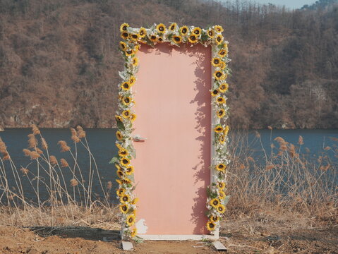 Surreal pink door standing alone in an empty space