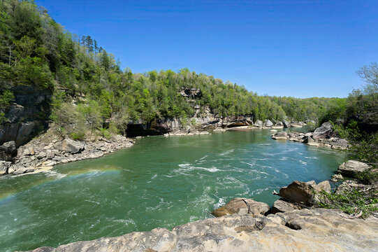 river in the forest