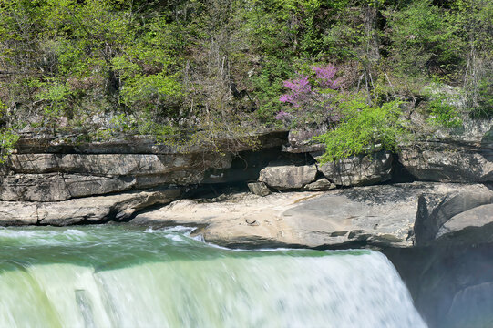 waterfall in the forest