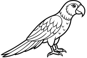 macaw bird silhouette line art vector illustration with a white background © pipp99