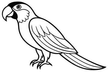 Obraz premium macaw bird silhouette line art vector illustration with a white background