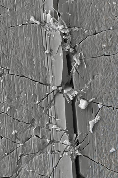 FIB-SEM Cross-Section of Polycrystalline NMC Cathode with Curtaining Artifacts