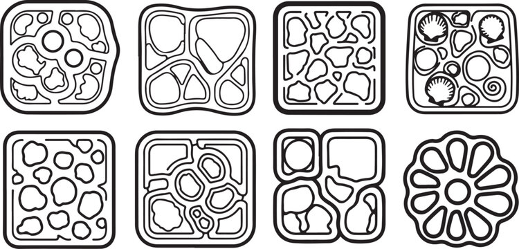 Intricate celtic knot patterns featuring interwoven loops and symmetrical designs Vector