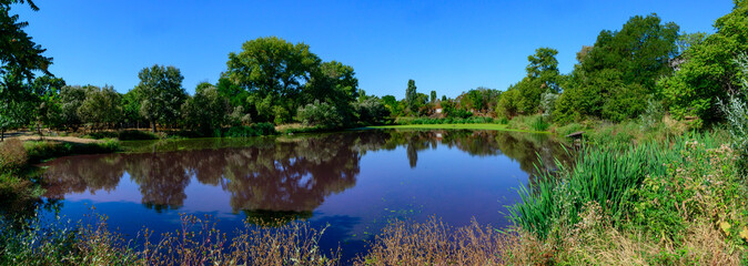 Water bloom caused by red ciliates and microalgae in a polluted hyper-eutrophic artificial pond © Oleg Kovtun