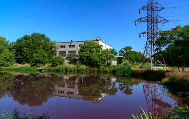 Obraz premium Water bloom caused by red ciliates and microalgae in a polluted hyper-eutrophic artificial pond