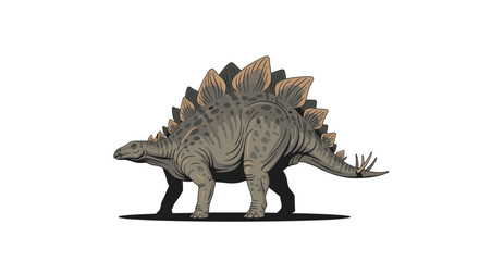 Fototapeta premium Detailed illustration of a stegosaurus dinosaur with bony plates on its back and spikes on its tail on a white background.