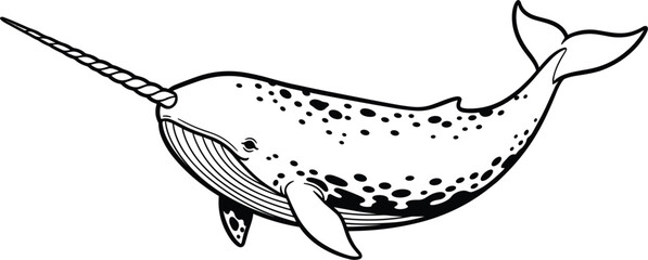 Hand-Drawn Narwhal with Long Spiraled Tusk for Arctic and Marine Life Designs © MstJuli