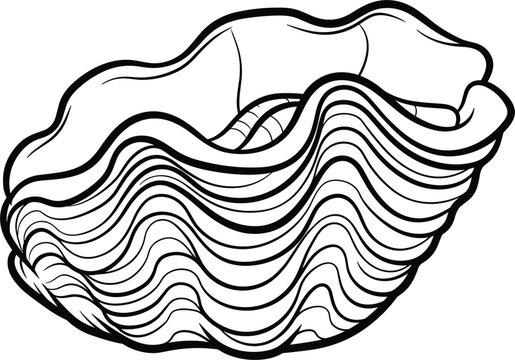 Intricate Hand-Drawn Shell with Wavy Texture and Detailed Patterns for Coastal and Marine Designs