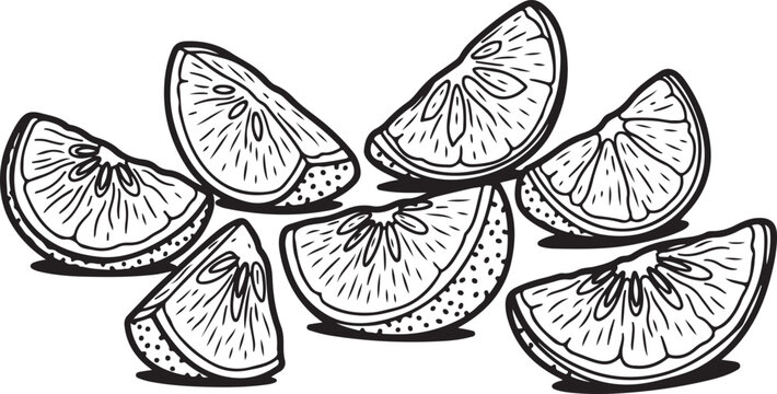 Close-up sketch of a cluster of dark blueberries on a vine Vector