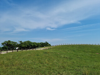 Fototapeta premium It is a grassy hill.