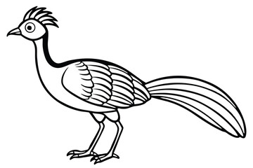 Fototapeta premium lyrebird silhouette line art vector illustration with a white background