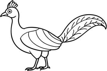 Fototapeta premium lyrebird silhouette line art vector illustration with a white background
