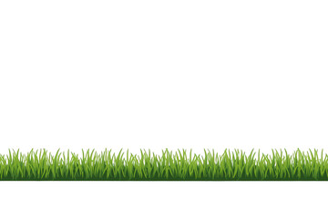 Naklejka premium Green grass border element creating a natural lawn or garden edge on transparent background