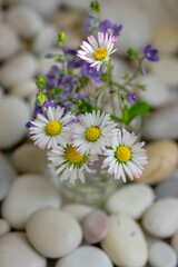 Common daisy Bellis perennis and germander speedwell Veronica chamaedrys wildflower bouquet in glass vase on decorative pebbles © Iva