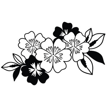 botanical line art flowers minimal elegant vector