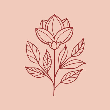 minimal elegant peach background